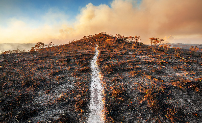 Bushfire Web's Bushfire liability in Australia: how to get better outcomes when ...