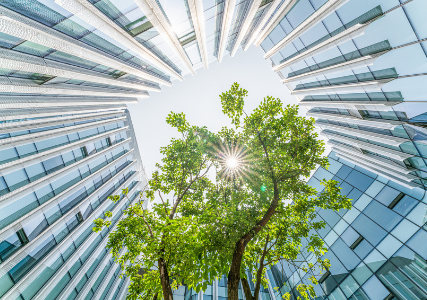 Office block courtyard with tree, sun and sky