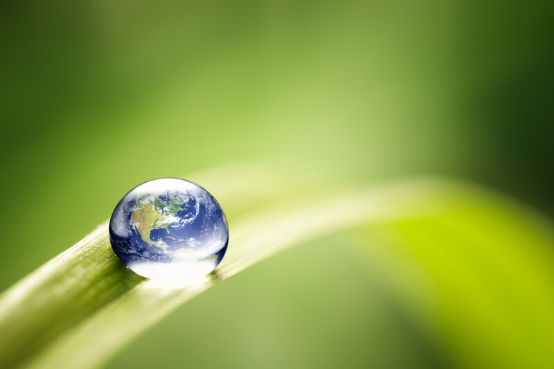 Sustainability - Globe Image